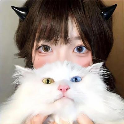 风斗士